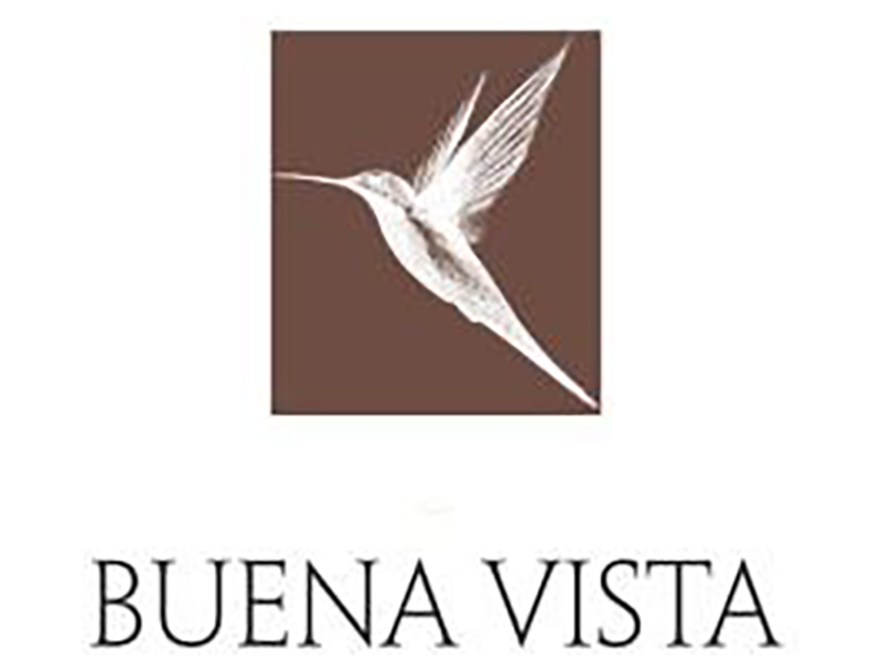 Logo_Buena Vista
